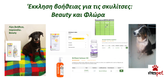 Ράτσα: Άλλη Ράτσα | Ηλικία: 5+ | Φύλο: Θηλυκό | Αρ. Microchip: 981021212121212 | Περιοχή: Αττική